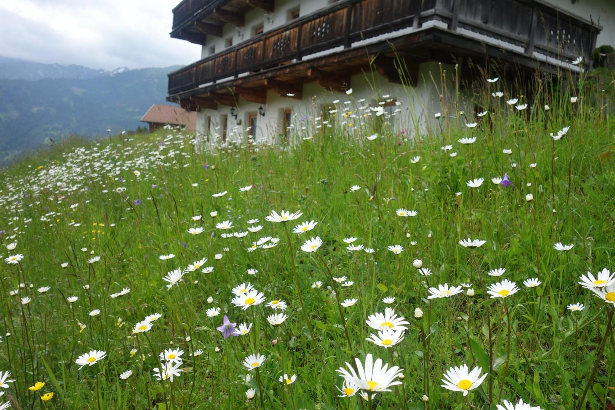 Appartamento Rasterhof Sillian Esterno foto